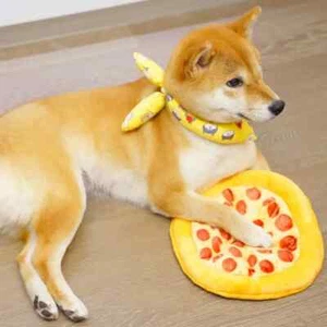 Giocattolo per Cani - 9 1/2" Pizza Squeaky Peluche Giocattolo da Masticare Interattivo per Cani - Foto 1 di 7
