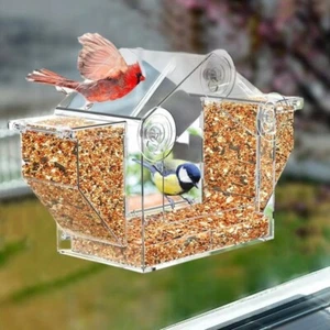Alimentador de aves transparente con ventosa comedero de aves para ventana - Imagen 1 de 8