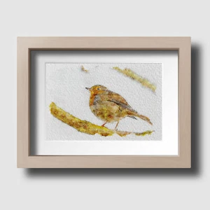 Robin Wildlife British Bird Watercolour Sketch Wall Art Print Picture Unframed - Picture 1 of 3