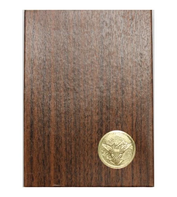 1973 S Eisenhower Proof Brown Box 40% Silver Ike Dollar (OGP) - Image 1 of 4