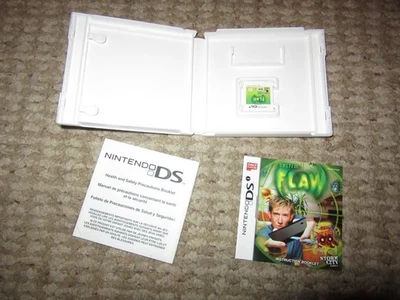 System Flaw (Nintendo DSi, 2009) - Image 1 of 3