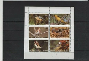 Bosco - - uccellino cantore uccellino minifoglio Batum molto bello - Foto 1 di 1