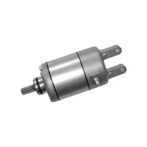 MOTORINO AVVIAMENTO MALAGUTI MADISON 250 S ANNO 1999 2000 2001 2002 2003 - Foto 1 di 1