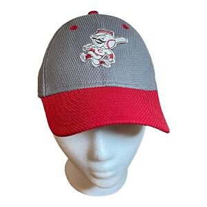 Cincinnati Reds Baseball Team Youth Child Flex Cap Hat Gray Red Logo