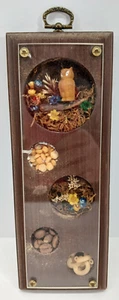 VINTAGE WOODEN DIORAMA SHADOW BOX FARM OWL SEEDS FLOWERS FOLK ART FREE SHIPPING - Picture 1 of 5