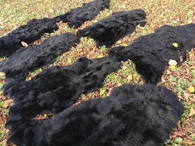 PROVELLUS VERA ECO PELLICCIA DI AGNELLO PELLE NERA fino a 140 cm 2a scelta AFFARE