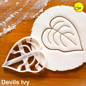 Devil's Ivy Leaf cookie cutter - houseplant garden wedding party horticulture - Picture 1 of 5