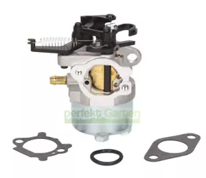 carburatore per Briggs & Stratton Serie 700 750 DOV 591852 793463 793493 595509 - Foto 1 di 5