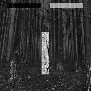 CHRIS LIEBING ANOTHER DAY - NEW VINYL SEALED - Picture 1 of 1