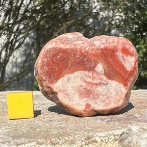 Cristal de ágata Dulcote, rebanada pulida con rayas bandas y tonos terrosos - Imagen 1 de 1