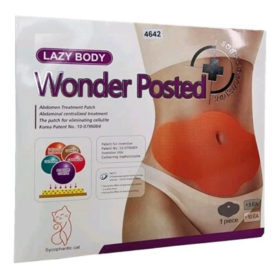 Parche de tratamiento abdominal Sycophantic Cat Lazy Body Wonder publicado - 15 piezas Foto 1 de 4