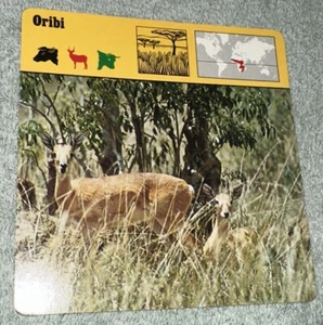 Vintage 1976 Tierkarte - Oribi - bedruckt in Japan - Bild 1 von 4