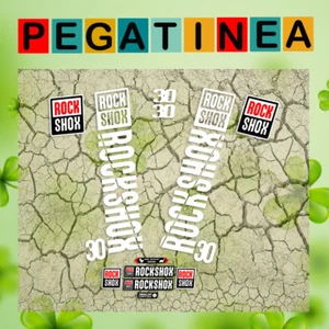 PEGATINAS HORQUILLA ROCKSHOX 30 EP13 2019 STICKERS AUFKLEBER DECALS FORK - Imagen 1 de 6