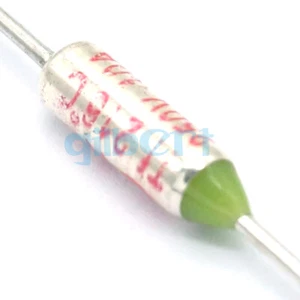 10 pieces 216°C TF Cutoff 250V 10A 12*6mm L*D Thermal Fuse Electric Cooker Fuse - Picture 1 of 6