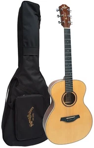 SIGNATURE COLLECTION - CHITARRA WESTERN CHITARRA ACUSTICA PETER BURSCH GM+ PB - Foto 1 di 7