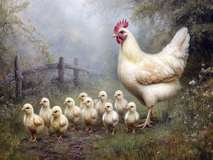 Chicken Farm Rustic Cattle Cowboy High Quality Canvas/Photo Paper PA67 - Picture 1 of 6