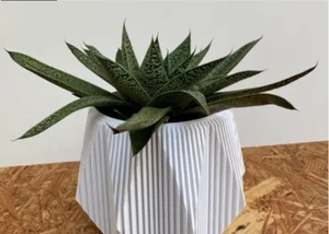 Geometric Ribbed Pot | Table Vase - Picture 1 of 2