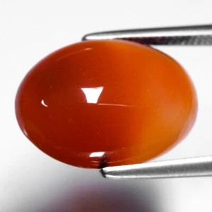 💎 5.01ct 14x10mm Oval Cabochon Natural Orange Carnelian - Africa Gemstone - Picture 1 of 4
