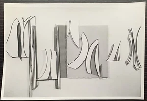1975 JUDITH ROTHSCHILD 8X10 B/W GLOSSY PHOTO CELEBRATION RELIEF COLLAGE - Picture 1 of 2