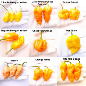 9 of the Worlds Hottest Chilli Varieties - 90 Seeds -Jay's Orange Ghost Scorpion