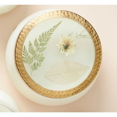 Anthropologie Anillos Rosey Bosque Prensa Grande Vela Floral Salvia Blanca y Cedro Foto 1 de 4