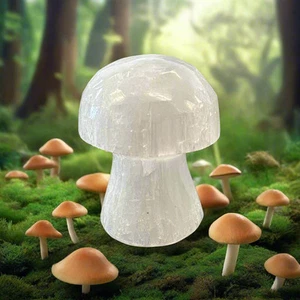 Funghi di selenite, altezza 1,5" - Foto 1 di 2