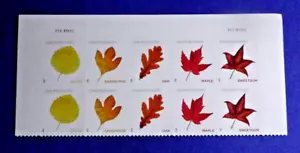 US 5966-5970 VIBRANT LEAVES ND POSTCARD (F) RATE PANE PLATE# OF 10 STAMPS MNH/OG - Picture 1 of 2