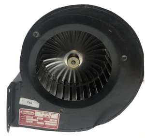 Dayton 2C646 Shaded Pole Blower; 178 Cpm, 12 Volt, DC - Picture 1 of 8
