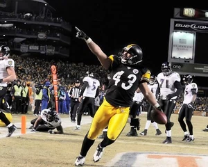 Troy Polamalu #43 Pittsburgh Steelers NFL 8"X10" Glossy Photo Print 1 - Picture 1 of 1