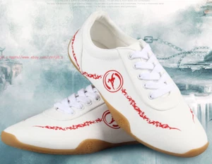 Chinese Kung Fu Tai Chi Shoes Martial Arts Sneakers Unisex Sport Canvas Footwear - Picture 1 of 14