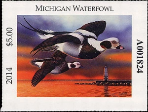 MICHIGAN #39 2014 STATE DUCK STAMP LONG TAIL DUCK by Christopher Smith - Picture 1 of 1