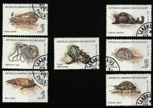 set completo molluschi marisco crostacei concharum 17 - Foto 1 di 1