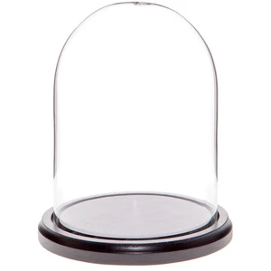 Cúpula de exhibición de vidrio Plymor de 4,5" x 6" (base de madera MDF negra) - Imagen 1 de 1