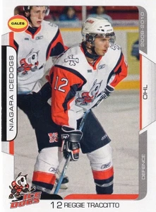 2009/10 Niagara IceDogs - REGGIE TRACCITTO - Bild 1 von 2
