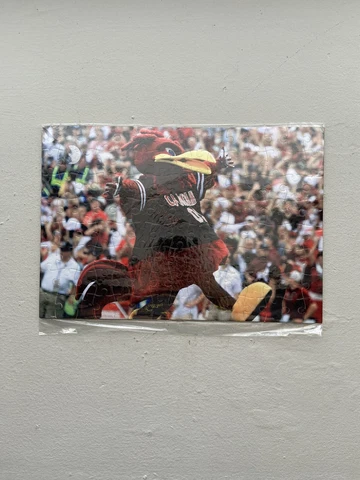 South Carolina Gamecocks 'Cocky' Mascot 11in X 8in Jigsaw Puzzle Cover