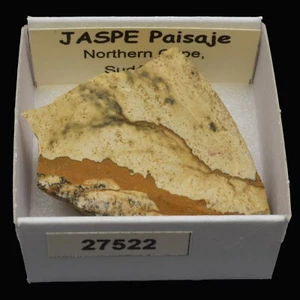 JASPE Paisaje (Northern Cape, Sudafrica) #27522 / Picture jasper - Picture 1 of 1