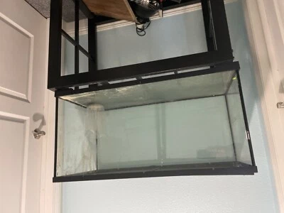 40 gallon tank includes stand, UV lamp as well as a heat lamp. Great for reptile - Image 1 of 4