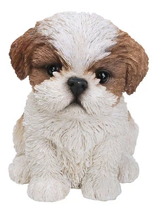 Vivid Arts Haustier Freund Hunde ShihTzu Welpe braun/weiß - Bild 1 von 3