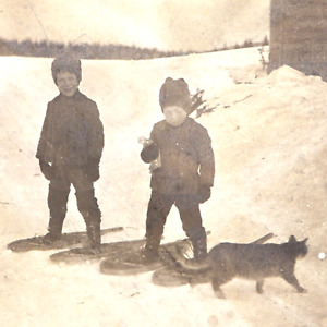 Antique 6x7" Mounted on Board Photograph Boys in Snowshoes Playing with Cat