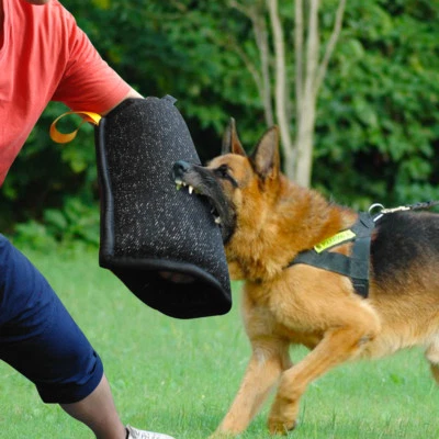  Entrenamiento de protección de brazo con manga de mordedura de perro policía para perros jóvenes pastor alemán Foto 1 de 4
