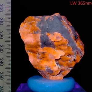 Fluorescent Afghanite Diopside Gonnardite Phlogopite LW & SW Afghanistan 625ct - Picture 1 of 12