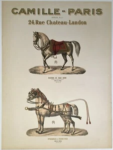Original ca1900s French Horse Saddle Advertising Poster - Bild 1 von 1