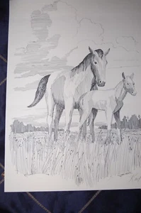 DE COLECCIÓN PLUMA Y TINTA BOCETO YEGUA Y UN AÑO LÁPIZ FIRMADO KARL SCOTT NO. 13 DE 100 - Imagen 1 de 1