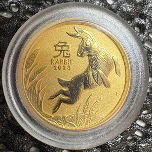 2023 Lunar Year of the Rabbit 1/20oz Gold 9999 Coin Perth Mint - Picture 1 of 4