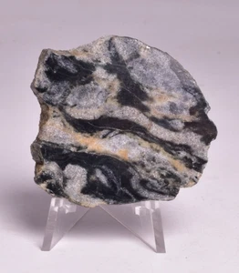 MICROBIALITA, REBANADA DE HIERRO CON BANDAS ISUA, 3,77 A.C.A Suroeste de Groenlandia S183 - Imagen 1 de 5