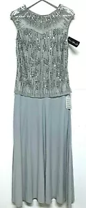 Pisarro Nights Perlen Netz Perlen Silber A-Linie Kleid Größe 2 Neu mit Etikett (UVP $ 218) - Bild 1 von 10