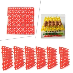6 Packs Egg Trays for Incubator Storage Holds 30 Poultry Eggs - Picture 1 of 9