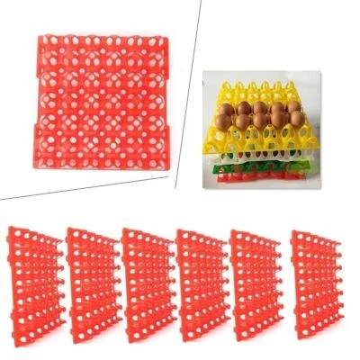 6 Packs Egg Trays for Incubator Storage Holds 30 Poultry Eggs - Image 1 of 4
