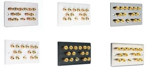Audio Lautsprecher AV 7.1 Wand Frontplatte 14 Klemmen Klemme + 1 Cinch - Bild 1 von 18