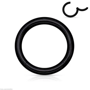 Segment Hinged Captive Ring Heavy 10 Gauge 1/2" Titanium Black IP * - Picture 1 of 3